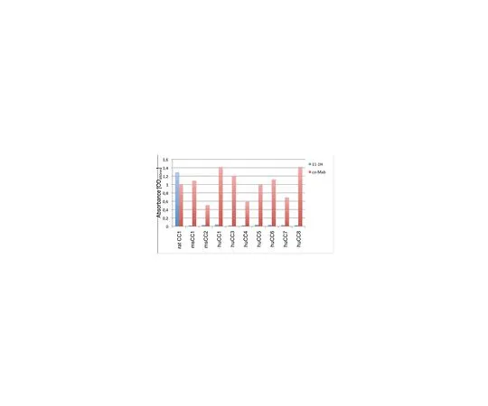 62-8526-31 Anti-CEACAM1 Antibody, clone 11-1H MABT365