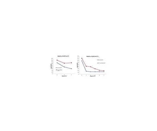 62-8487-24 HumanKine(R) Thermostable bFGF, Human Recombinant Xeno-Free GF446-10UG