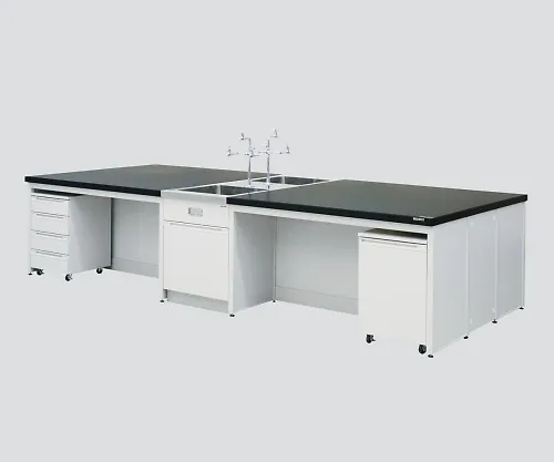 3-3786-02　［Discontinued］Central Laboratory Bench without Drawer, Frame Type with Unit, with Face-To-Face Sink 2400 x 1200 x 800　HCOC-2412