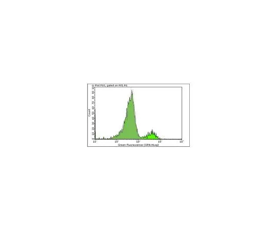 62-8480-04 Anti-CD19, clone HD37; 100 μg CBL582