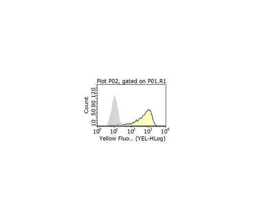 62-8503-42 Anti-TIM4/TIMD-4 Antibody, clone Kat5-18 MABC958