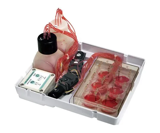 4-2957-01　［Discontinued］set of portable media exchange systems　CEME-0102