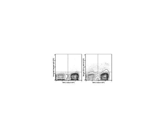 62-8510-24 Anti-CD11c (mo***), FITC, clone N418 MABF374