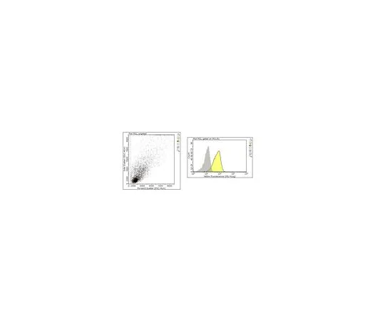 62-8503-63 Anti-TNFSF13 (APRIL) Antibody, clone A3D8 MABC1031