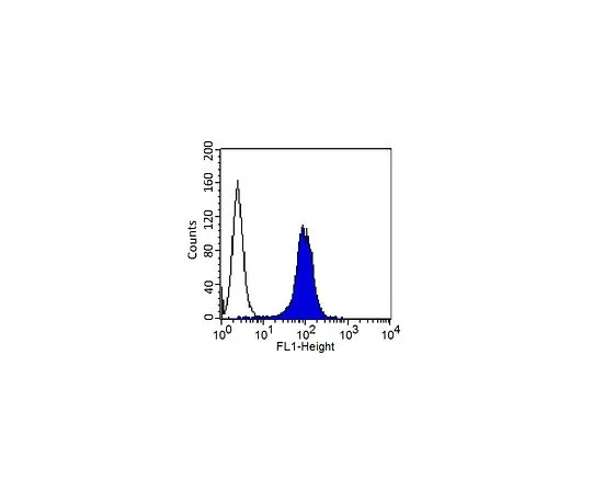 62-8500-51 Anti-MCAM, Clone P1H12, FITC Conjugated; 100 μg MAB16985F