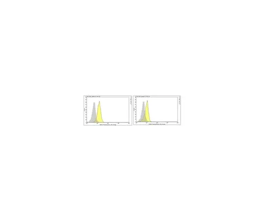 62-8513-08 Anti-IFNAR1 Antibody, clone 4G8 MABF939