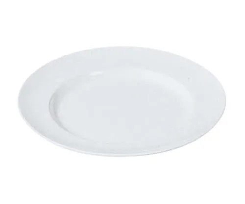 61-6839-70 Melamine School Dish Flat Plate Rim Type No. 24 10 inch White 2451900