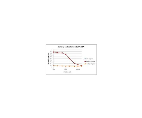 62-8507-66 Anti-phospho Histone H3 (Ser10), clone 6G8B7 MABE939