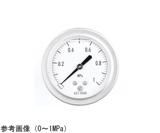 65-4325-87-20 Pressure Gauge with Glycerin (60Φ) with 0.1 MPa Inspection Certificate GV55-673