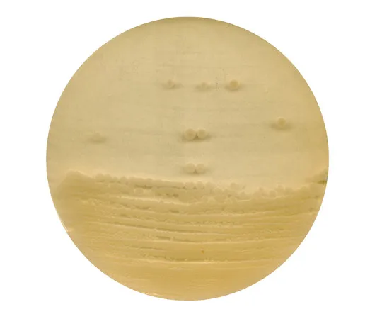 61-0201-12 Antibiotic Agar No. 1 for Microbiology 105272 500G 1.05272.0500
