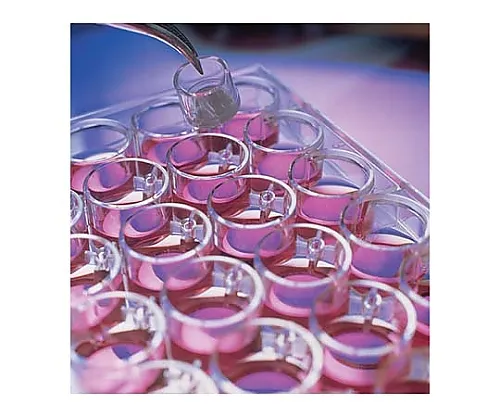 61-0200-25 Millicell Cell Culture Insert 30mm HA MCE 0.45μm 50/Pk 50PK PIHA03050