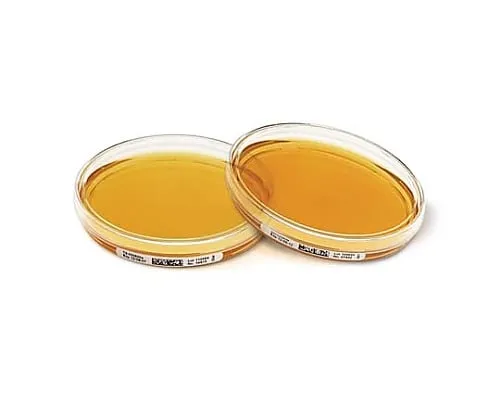 61-0203-11 Sabouraud Glucose(4%)Agar W.Lthth ICR 30mL(120) 146005 120Pcs 1.46005.0120