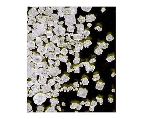 61-0300-15 Sodium Chloride for Analysis Emsure(TM) ACS, ISO, Reag. pH Eur 106404 500G 1.06404.0500