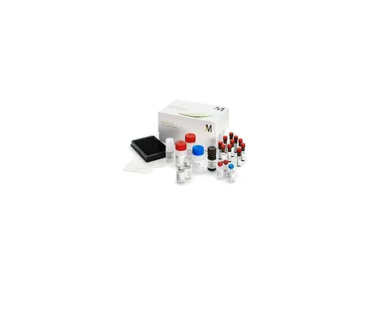 62-8538-11 Beadlyte(R) Cell Signaling Assay Buffer 1; 50 mL 43-010