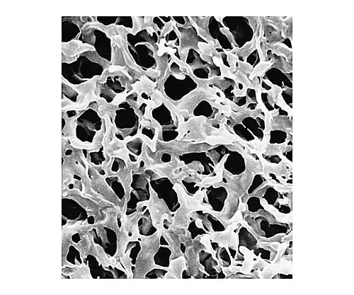 61-0195-07 Durapore Disc PVDF Phobic 0.45μm 13mm Wh Pln 100/Pk 100PK HVHP01300