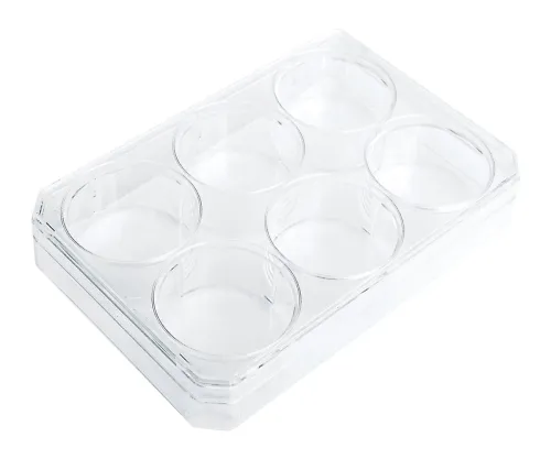 3-3406-01　［Discontinued］Cell Culture Plate Nunclon (TM) Vita 6 Wells　145380