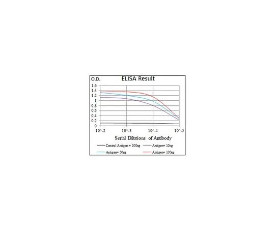 62-8502-99 Anti-KEAP1, clone 7G4B10 MABC713