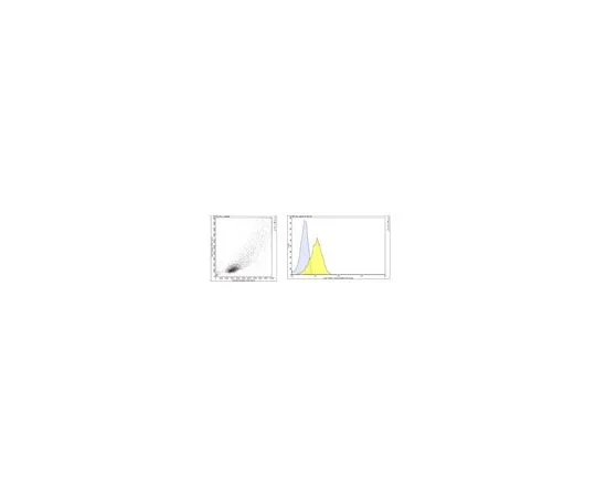 62-8512-97 Anti-CCRL2 (Mo***) Antibody, clone BZ5B8 MABF921