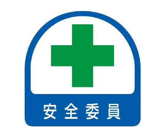 62-6145-37 Helmet Sticker Safety Committee 851-03