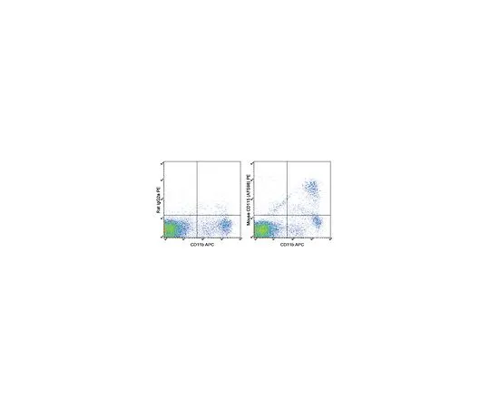 62-8511-22 Anti-CD115 (c-fms) (mo***), PE, clone AFS98 MABF509