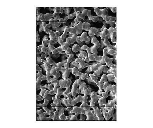 61-0212-04 Silver Membrane 0.45μm 25mm 50/Pk 50PK AG4502550