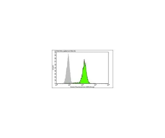 62-8479-92 Anti-CD34 Class II, Clone QBEND/10, FITC Conjugated; 100 assays CBL496F
