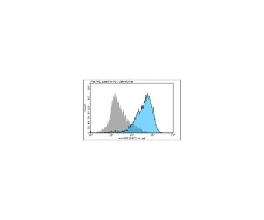 62-8509-08 Anti-MIF Antibody, clone M1, preservative free MABF111 MABF111