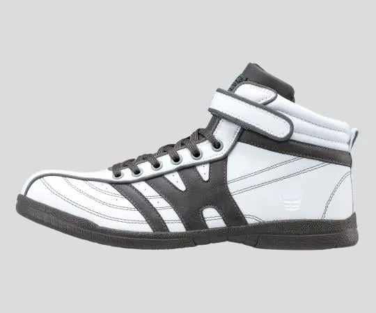 2-8967-01　［Discontinued］Safety Shoes 24.5cm　WW152H