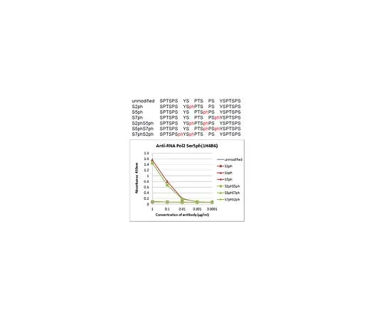 62-8507-77 Anti-phospho RNA Pol II (Ser5), clone 1H4B6 MABE954