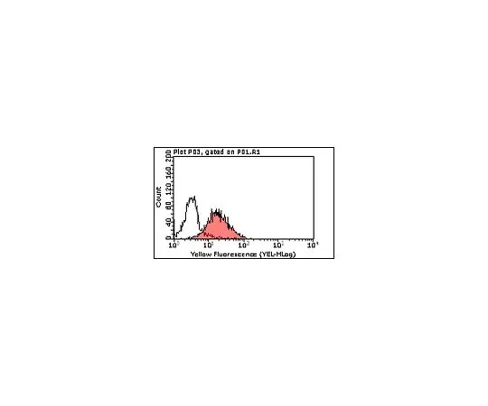 62-8508-90 Anti-Tim3, clone 2E2; 100 μL MABF62