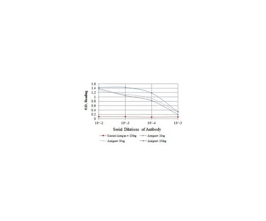 62-8523-63 Anti-MAP2K6, clone 3H12C8 Antibody MABS810
