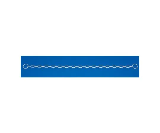 62-6112-29 Chain with Ring 860-50