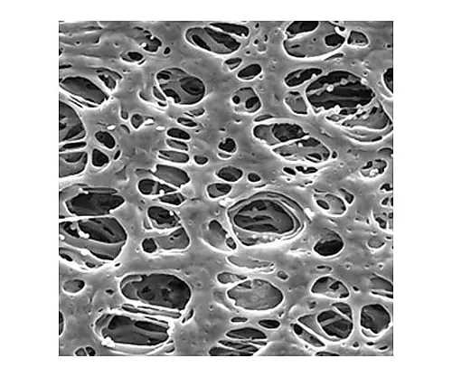 61-0194-52 Millipore Express PLUS Disc PES Philic 0.22μm 25mm 100/Pk 100PK GPWP02500