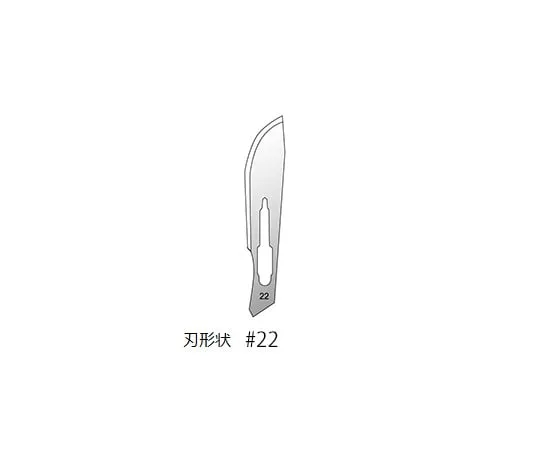 3-9816-07 Disposable Scalpel 10 Pieces #22