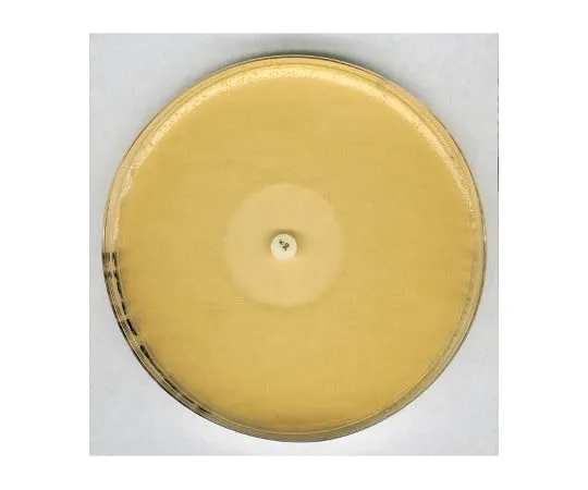 61-0201-15 Antibiotic Agar No. 11 for Microbiology (GROVE And RANDALL Medium No. 11) 105269 500G 1.05269.0500