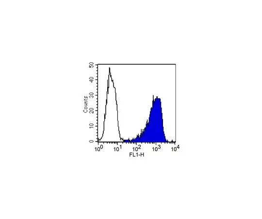 62-8491-02 Anti-Thy-1.1, clone OX-7; 100 μg MAB1406