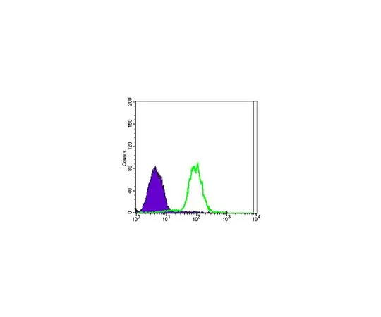 62-8519-30 Anti-CA9, clone 2D3 MABN713