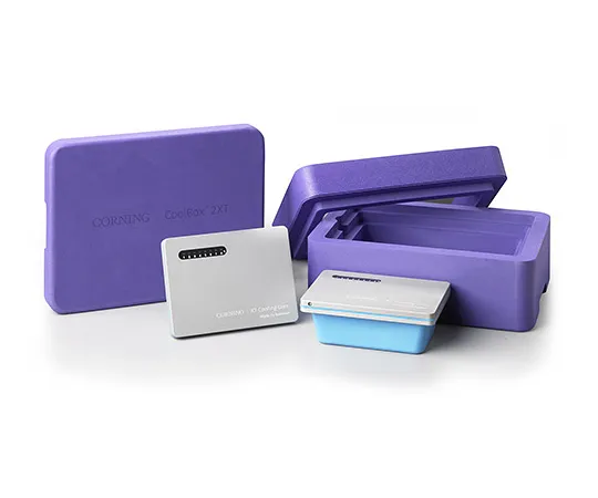 63-1537-01 CoolBox 2XT Purple 432025