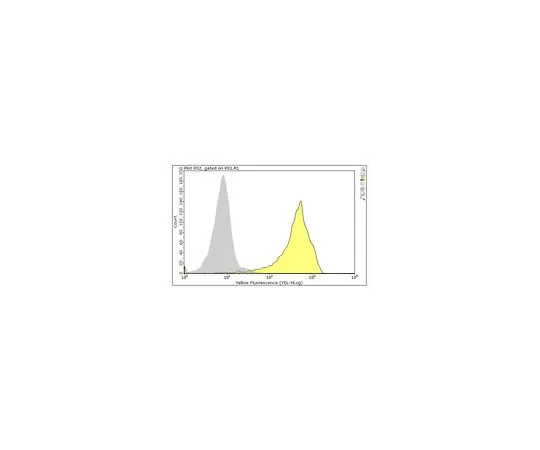 62-8513-18 Anti-CD47 Antibody, clone C5/D5 MABF959