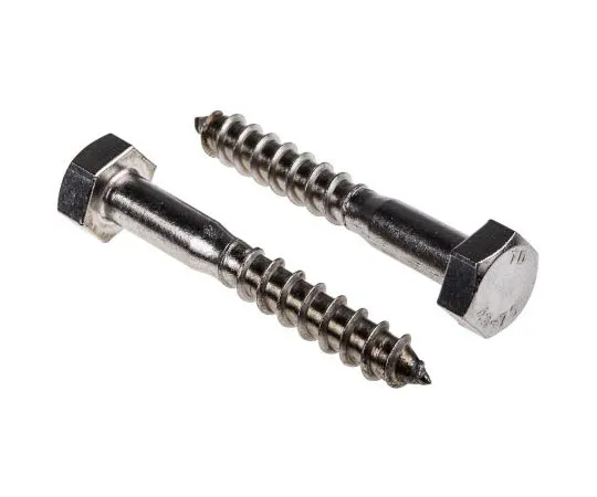 63-4691-29 Stainless Steel Coach Screw, 10mm 144-3559