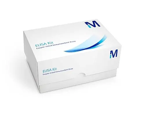 61-0284-40 Luminata Forte ELISA HRP Substrate; 100mL 100mL ELLUF0100