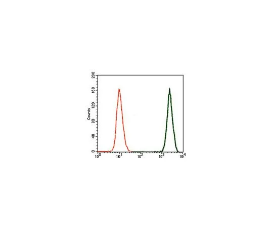 62-8519-25 Anti-DCX, clone 2G5 MABN707