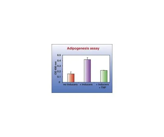 62-8482-27 Adipogenesis Assay; 1 kit ECM950