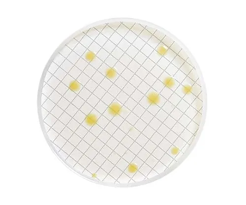 61-0285-11 Milliflex Standard Agar Filled Medium Cassette 48 x 1ST MXSMPCA48