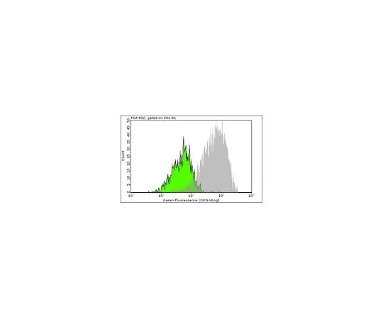 62-8483-85 Milli-Mark Anti-BrdU, clone BU-1 Alexa Fluor(R) 488 conjugated; 100 tests FCMAB101A4