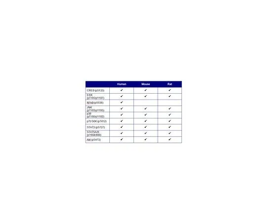 62-8538-75 MILLIPLEX(R) MAP Multi-Pathway Magnetic Bead 9-Plex, 48-680MAG 48-680MAG