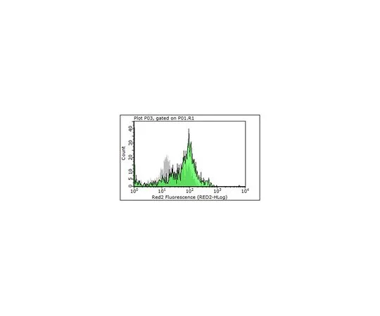 62-8518-98 Anti-Ly6C, clone 6C3 MABN668