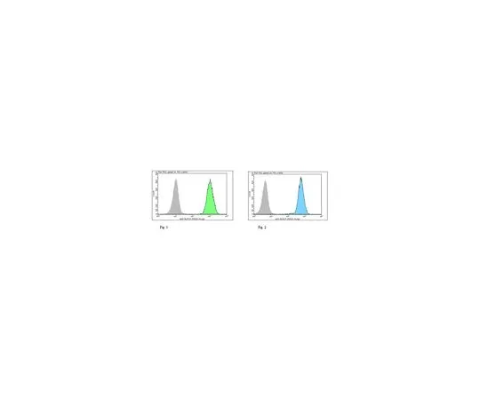 62-8509-46 Anti-NLRC5, clone 3H8 MABF260