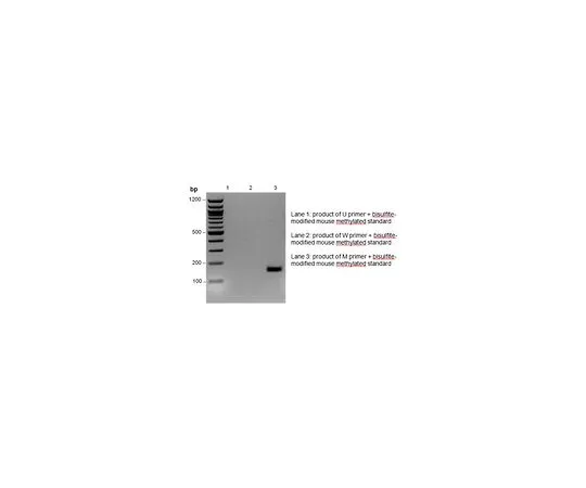62-8531-65 CpGenome(TM) Universal Methylated Mo*** DNA Standard Set S8000