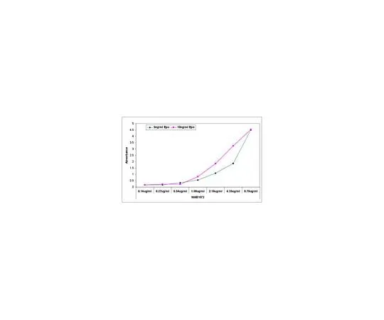 62-8490-27 Anti-Erythropoietin, clone 1C8; 250 μg MAB1072